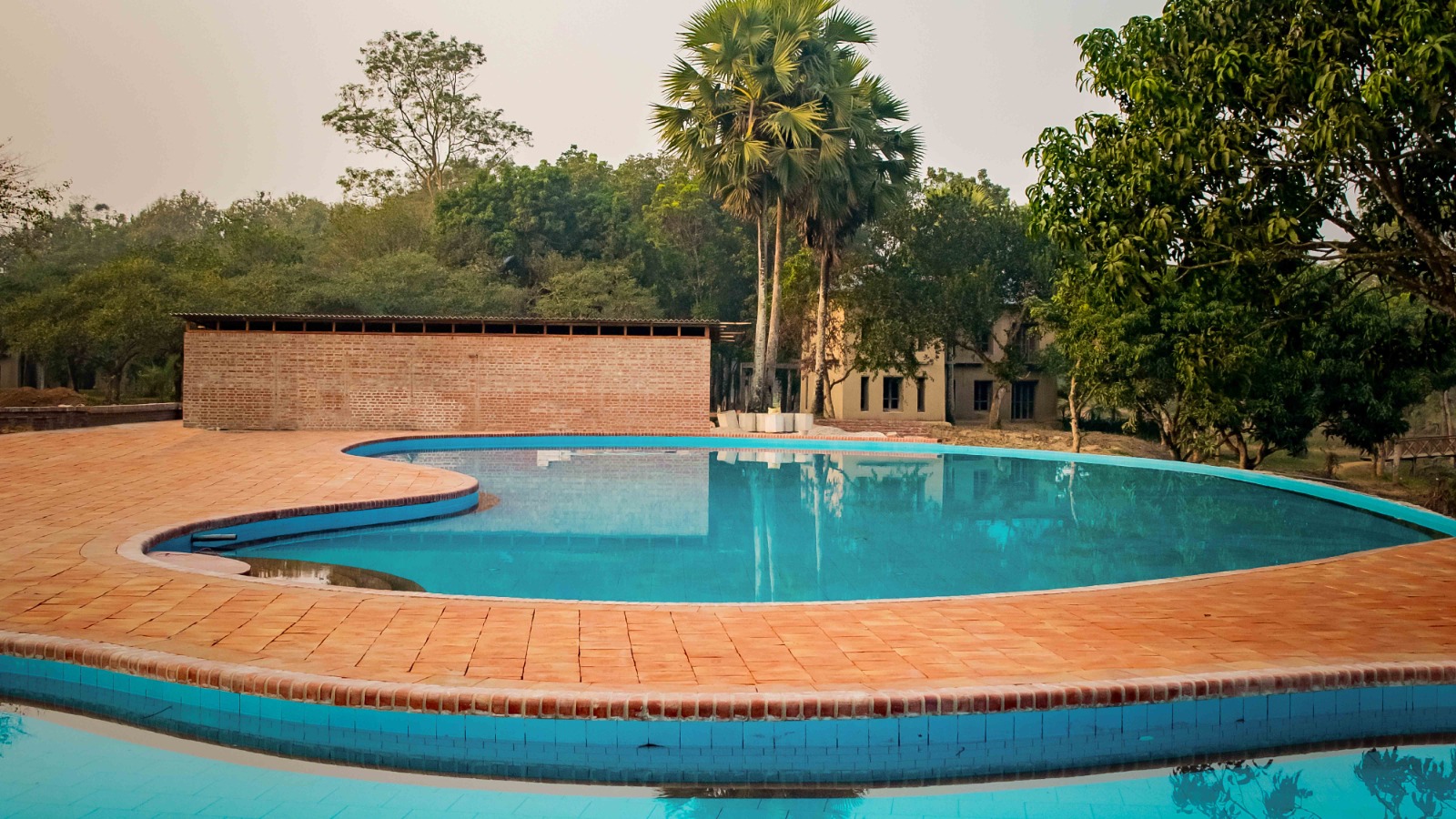swimming